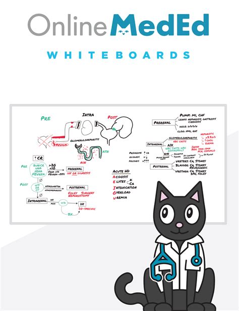 OnlineMedEd Template Hey everyone. . Onlinemeded whiteboard pdf free download